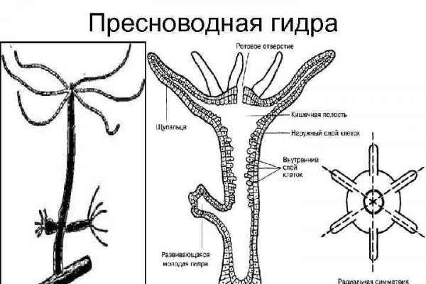 Кракен аватарка маркетплейс