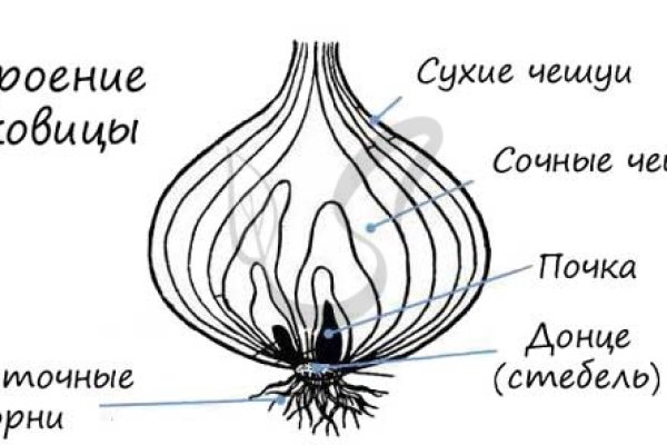 Кракен даркнет 2krnk biz